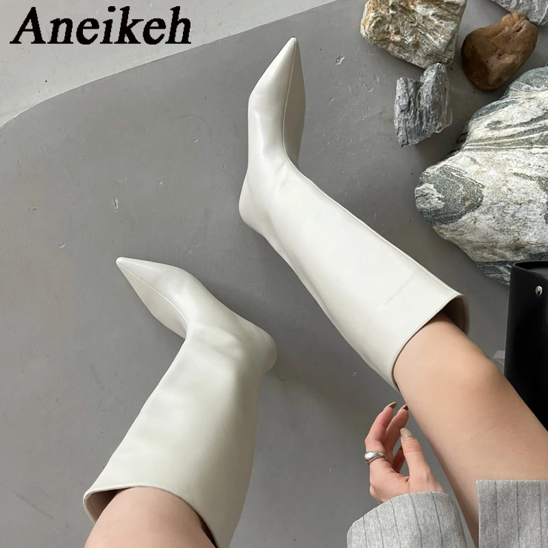 Aneikeh 2026 Fashion Sexy Poin - огляд і ціна Women'S Fashion Knee High Boots